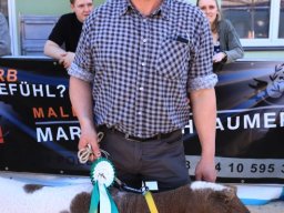 2019_ausstellung polling_780